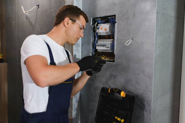 Best Electrical System Inspection  in Salamatof, AK