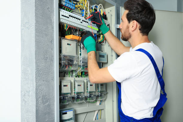 Best Electric Panel Repair  in Salamatof, AK
